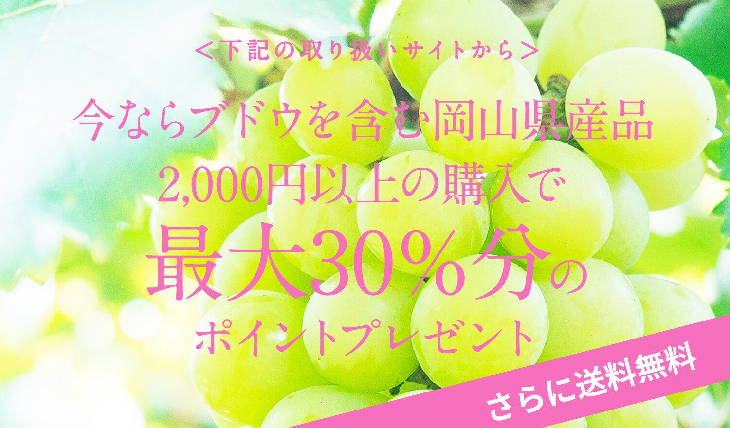 ＜下記の取り扱いサイトから＞今ならブドウを含む岡山県産品2,000円以上の購入で最大30％分のポイントプレゼント さらに送料無料